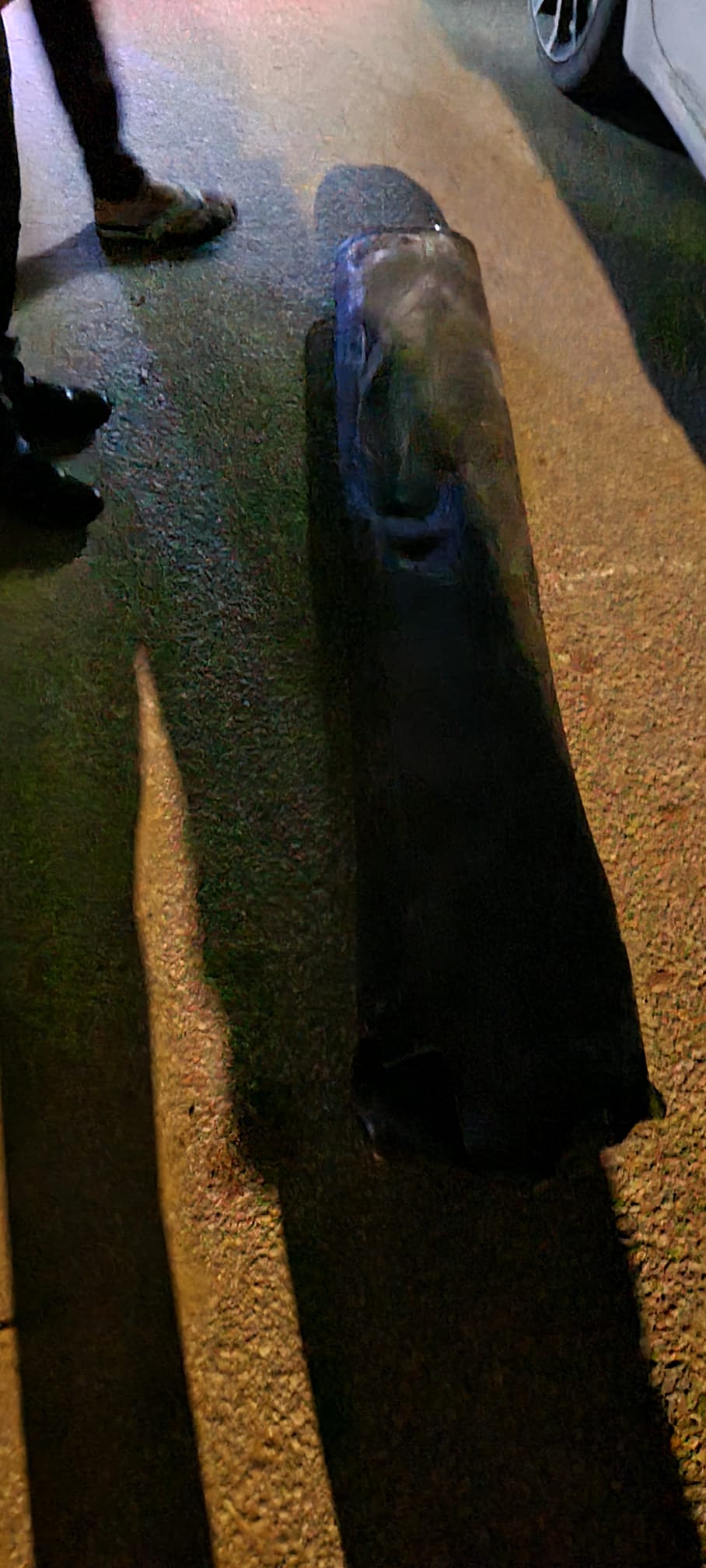 WhatsApp Image 2024-01-01 at 00.56.02.jpeg